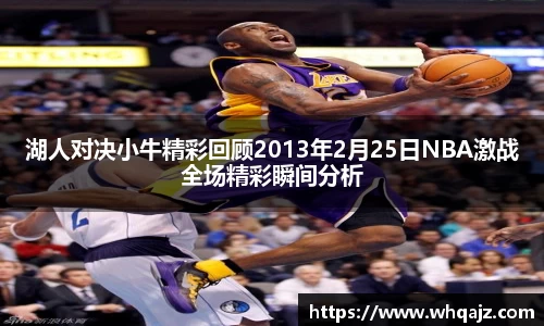 湖人对决小牛精彩回顾2013年2月25日NBA激战全场精彩瞬间分析